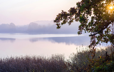 Fototapeta na wymiar The rising sun shines through the oak leaves over the lake in the fog. Selective focus.