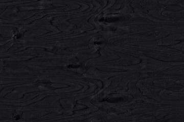 Black background. The texture of natural birch veneer with knots. The surface of birch plywood. Black and white photo.