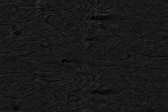 Black background. The texture of natural birch veneer with knots. The surface of birch plywood. Black and white photo.