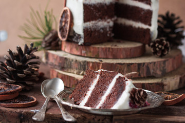Christmas Winter baking  cake concept. Winter cake with cones. 