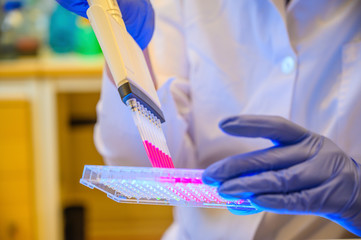 Reseacher holding Multi channel pipette withdrawing pink compound solution with tips for biomedical research with model compounds in background