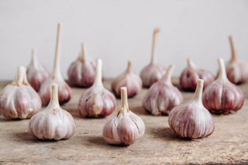 Garlic lie in a row on a rustic wooden background. Copy, empty space for text