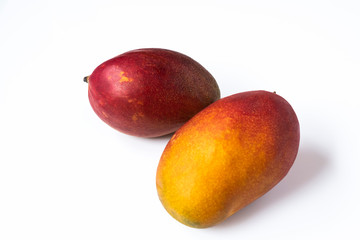 Two mango on white background. Mango are one of the most popular fruit in the World