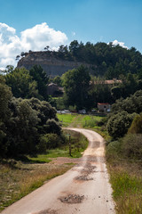 Fototapeta na wymiar Village road , with grass, trees and montain Summer time.