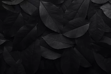 Schwarzer Hintergrund. Hintergrund vom Herbst gefallene Blätter Nahaufnahme. Schwarz-Weiß-Foto. © ALIAKSANDR