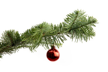 a Christmas tree branch with a small red ornament isolated on white