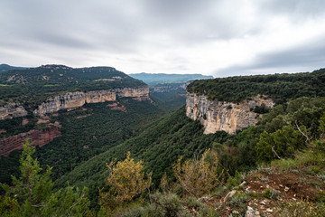 Fototapeta na wymiar Canyon with green forest on a cloudy day, Tavertet, Barcelona province, Catalonia.