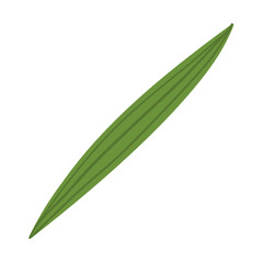 Isolated autumn leaf vector design