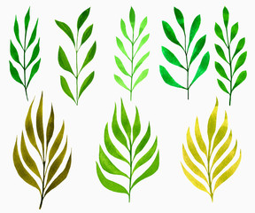Set of decorative leaves in green colors on an isolated white background. Watercolor hand drawn illustration. Collection of floral elements for design. Perfect for wedding invitations, cards, posters