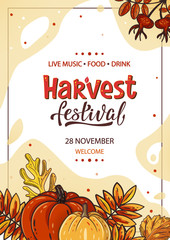 Harvest festival template with pumpkins, leaves and handwritten lettering. Design for poster, banner, invitation, flyer, card. Thanksgiving or harvest festival or market vector illustration