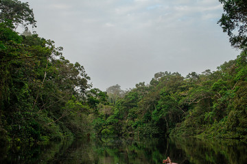 Obraz na płótnie Canvas Cuyabeno Wildlife Reserve