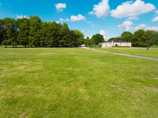 grass in the park