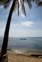 Frieden am Strand unter einer Palme