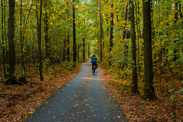 Obraz premium Bike path through an autumnal forest, bike path with cyclists, autumn forest and a bike path