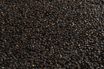 Background from buckwheat malt. Сereals for the production of alcoholic beverages and animal feed. Flat lay