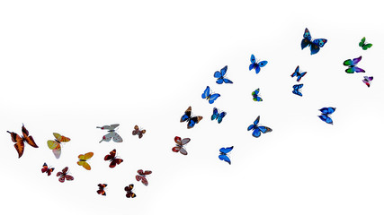 a pack of beautiful paper butterflies on a white background. illusion of butterfly flight, flight of a flock of butterflies isolated on a white background. - obrazy, fototapety, plakaty