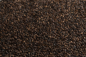 Brown wheat background. Сereals for the production of alcoholic beverages and animal feed. Flat lay