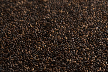 Brown wheat background. Сereals for the production of alcoholic beverages and animal feed. Flat lay