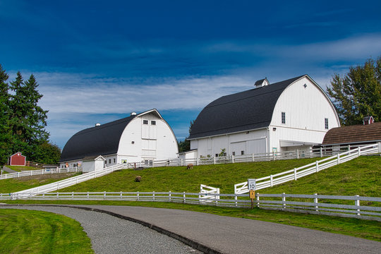 2019-10-02 KELSEY CREEK ANIMAL BARNS WITH A WHITE FENCE FIELDS AND A NICE BLUE SKY IN BELLEVUE WASHINGTON.