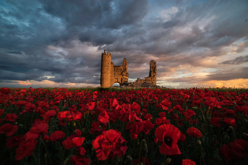 An old abandoned church surrounded by a field of poppies on a cloudy afternoon.