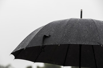 Rain And Wind On Black Umbrella - Weather Concept.