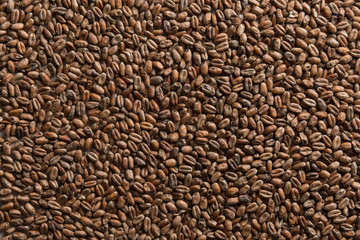 Background from whole grains wheat. Groats texture. Сereals for the production of alcoholic beverages and animal feed. Flat lay