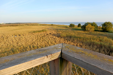 Fototapeta premium Estonia travel wild nature sunset beach wooden boardwalk to the baltic sea coast nature 