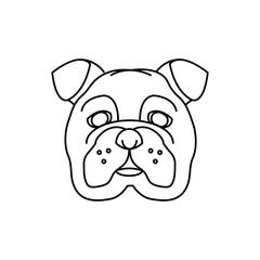 english bulldog head isolated icon