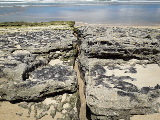 Rocks at the beach of Pernambuco, Brazil