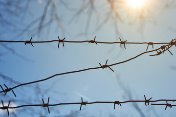 Rows of barbed wire against a blue sky and bright sun.