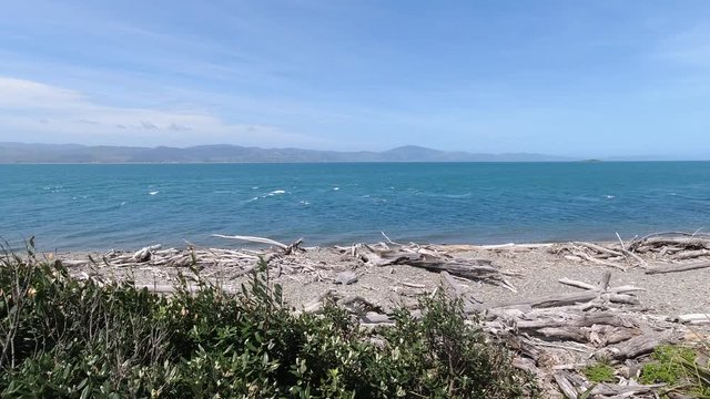 The beach on Kapiti Island looking back to Paraparaumu near Wellington in New Zealand