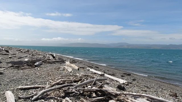 The beach on Kapiti Island looking back to Paraparaumu near Wellington in New Zealand