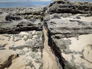 Rocks at the beach of Pernambuco, Brazil
