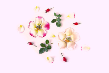 Autumn layout. Rose petals, leaves and red berries or rose seeds on a light background. Flat lay, top view, copy space