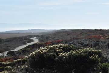 The view of the footpath behind the dunes at Moss Landing beach, California