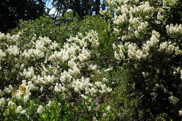 Landscapes of Washington State
