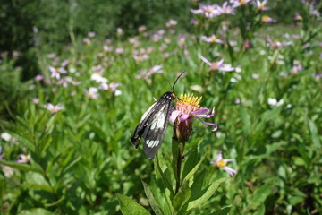 Landscapes of Washington State