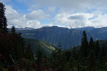 Landscapes of the Pacific Northwest