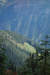 Landscapes of the Pacific Northwest