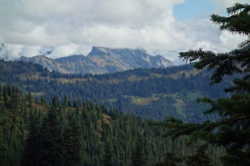 Landscapes of the Pacific Northwest