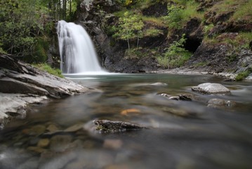 Obraz premium waterfall in forest