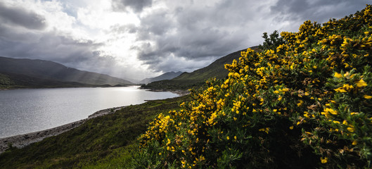 Beautiful scenic landscape of Scotland nature with beautiful evening sun set sky.