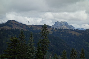 Landscapes of the Pacific Northwest