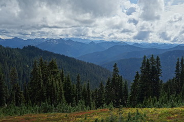 Fototapeta na wymiar Landscapes of the Pacific Northwest