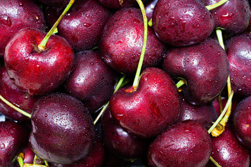 Close up of fresh cherries.