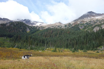 Landscapes of the Pacific Northwest