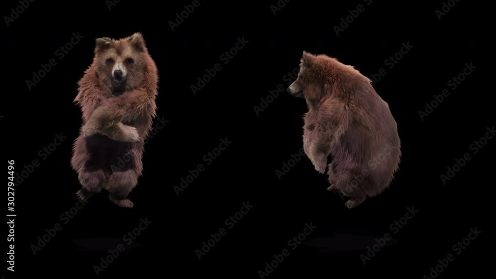 Wall mural bear dance cg fur 3d rendering animal realistic cgi vfx animation loop composition 3d mapping cartoo