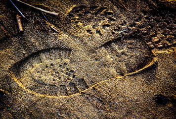 Shoe print in the sand