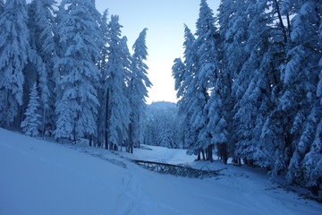 landscapes of the pacific northwest