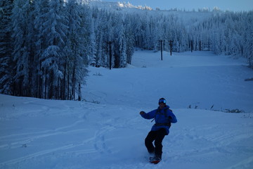 landscapes of the pacific northwest
